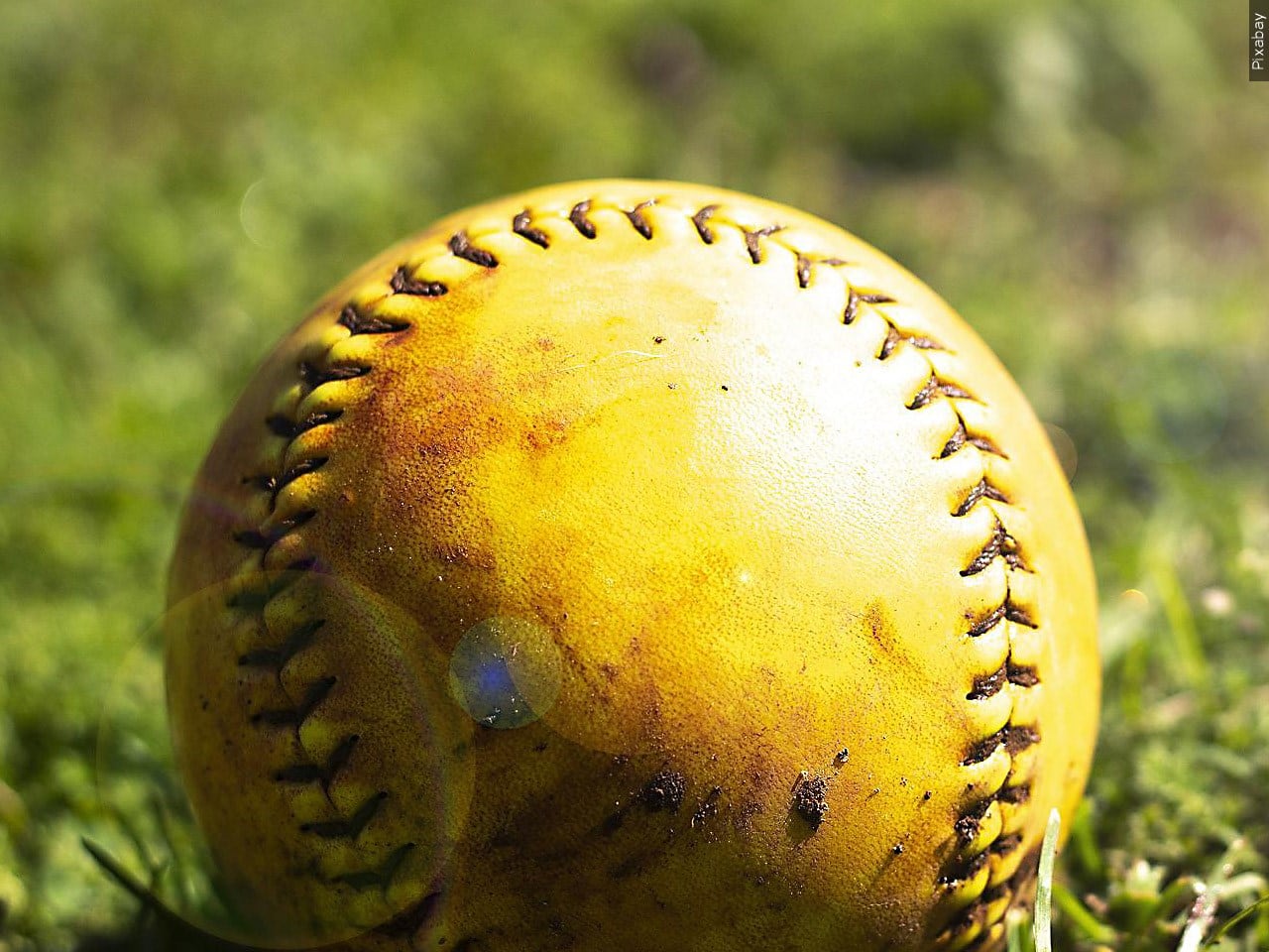 Aynor 12U softball team wins South Carolina state championship, advances to World Series