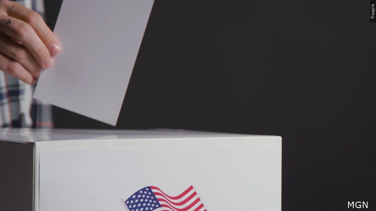 Primary results: Key races decided across the Grand Strand and Pee Dee