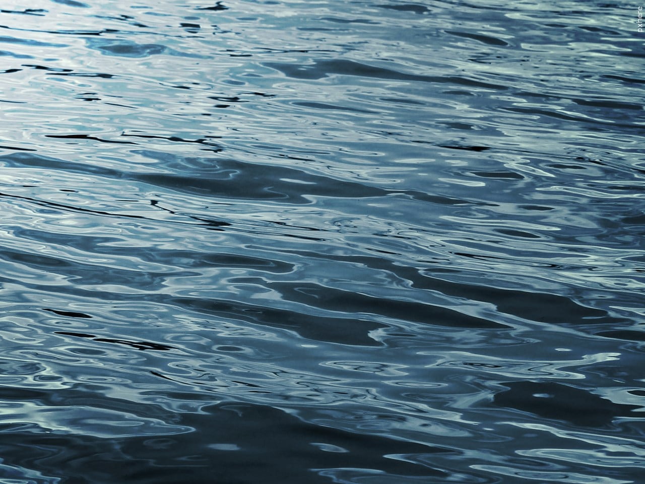 Body recovered during search for missing swimmer in Georgetown County