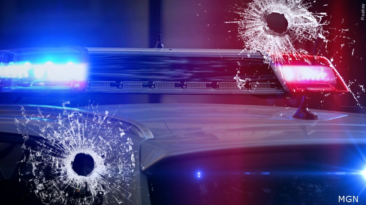 19-year-old dead, child injured in Darlington County area shooting, coroner says