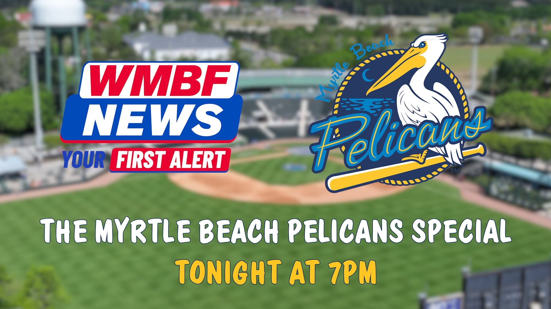 WATCH: WMBF aired Myrtle Beach Pelicans special