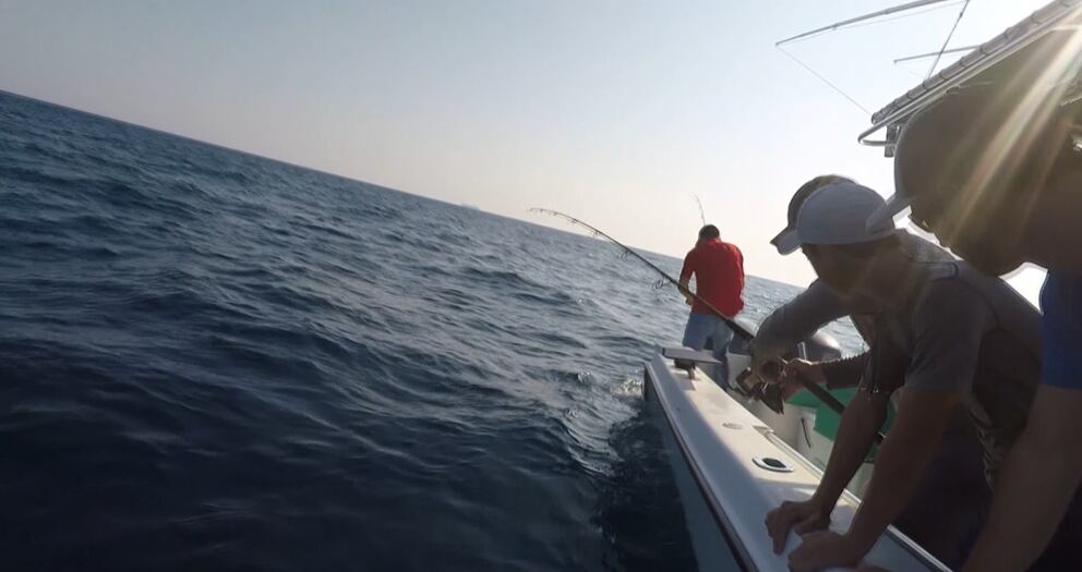 New red drum rules take effect July 1 in South Carolina