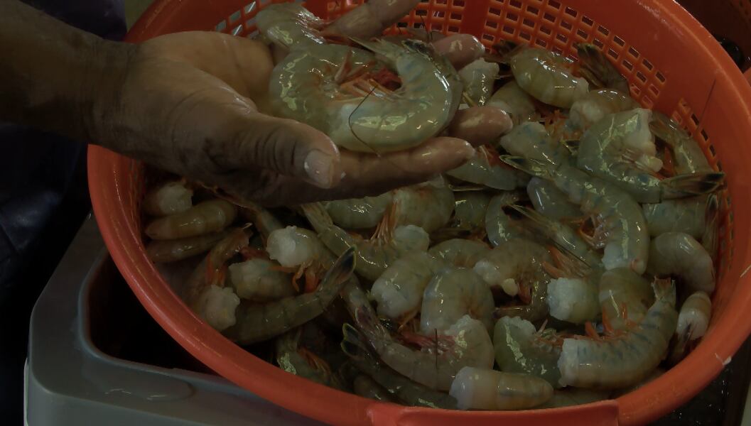 South Carolina shrimp labeling bill advances