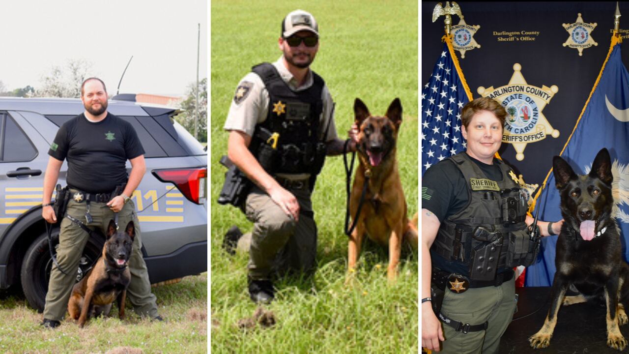 Darlington County K-9’s receive protective vests