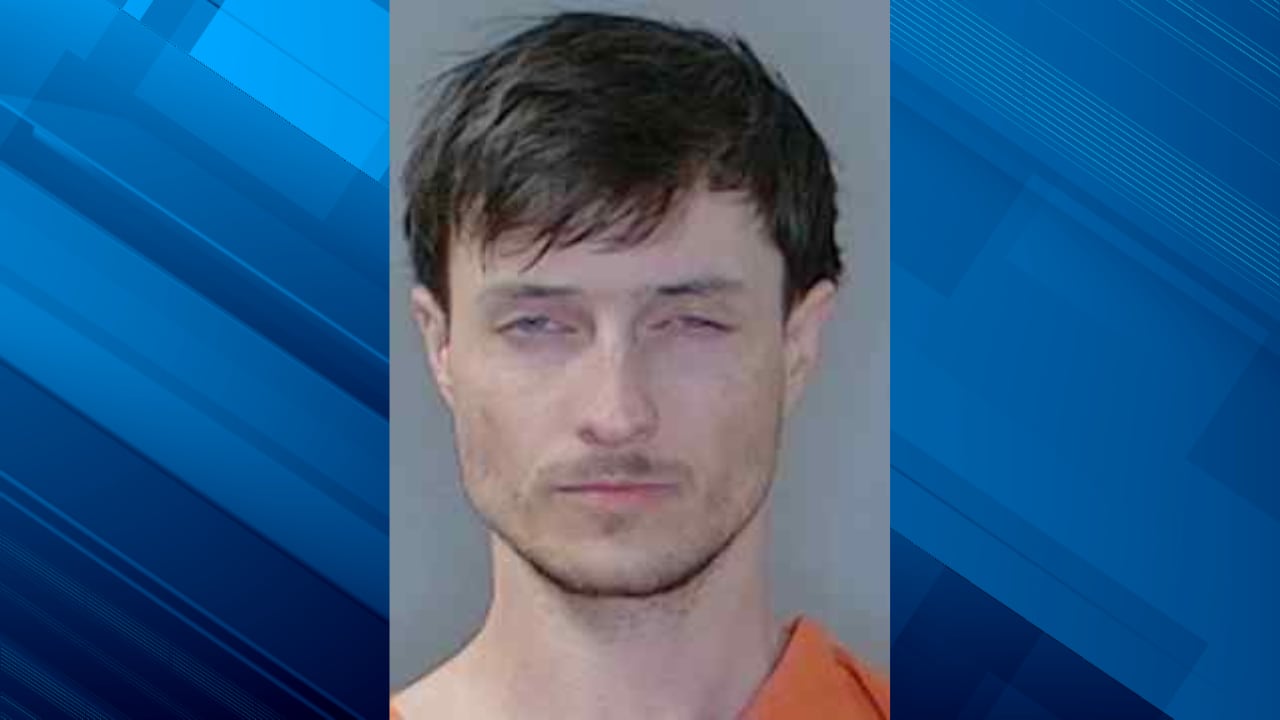 Man arrested after high-speed chase ends in crash, foot chase in Georgetown County