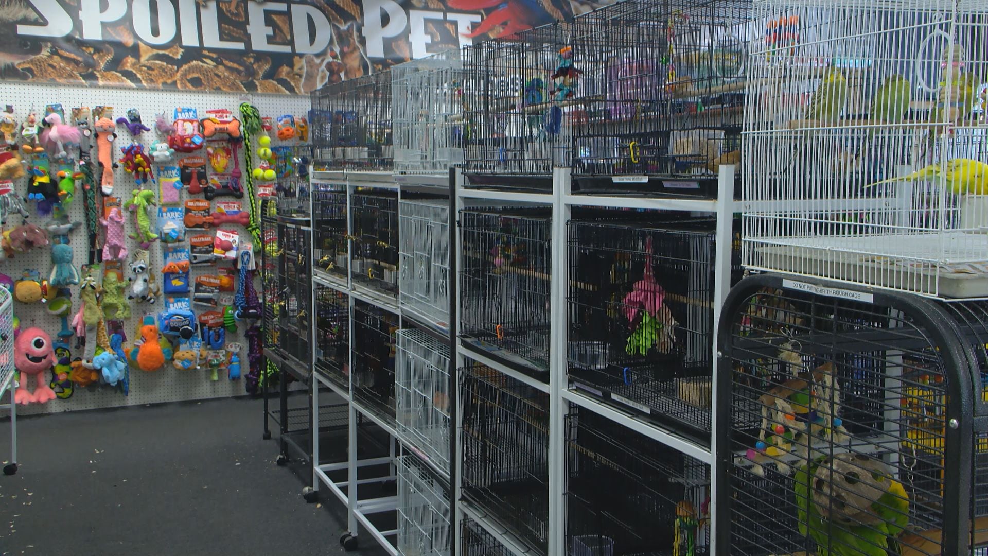 Myrtle Beach pet store fights to restore Facebook page after AI flagging