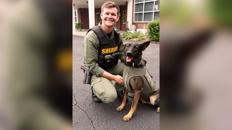 K9 Dukat in his Stab/Bullet protective vest