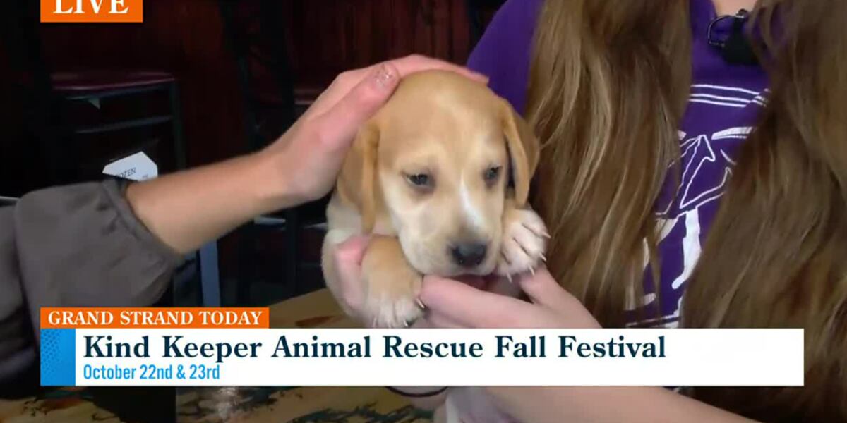 Keeper Rescuer Kind Keeper Animal Rescue Fall Festival looks to raise money for their ...