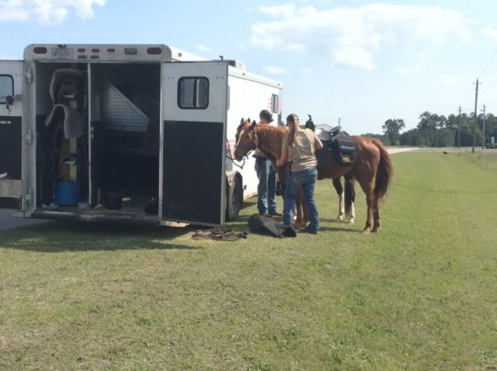 Police say they are using a helicopter, horses, and dogs to search for the missing man....