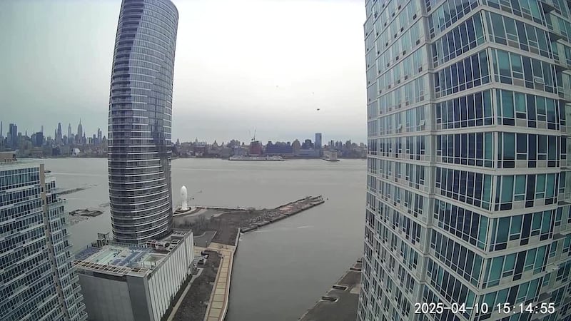 The report describes evidence that suggests the helicopter struck birds before it plummeted.