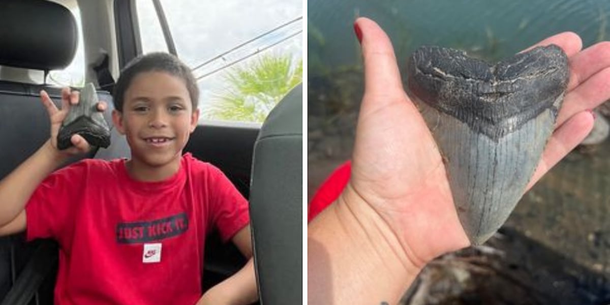 7-year-old uncovers massive megalodon tooth in Pawleys Island