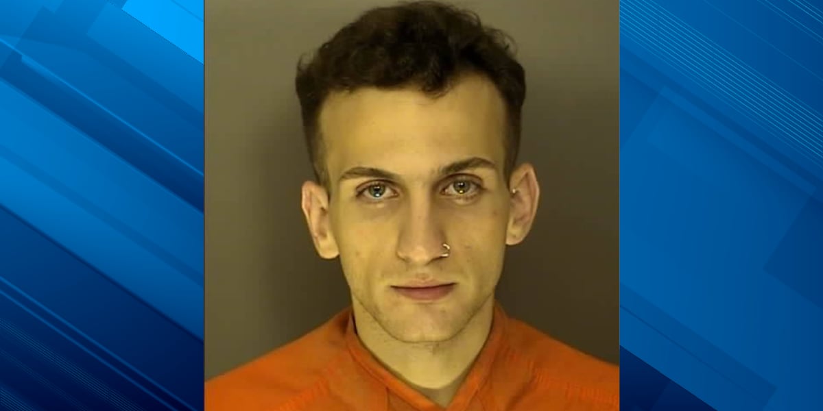 Dog abuse suspect accused of pet insurance fraud in Horry County