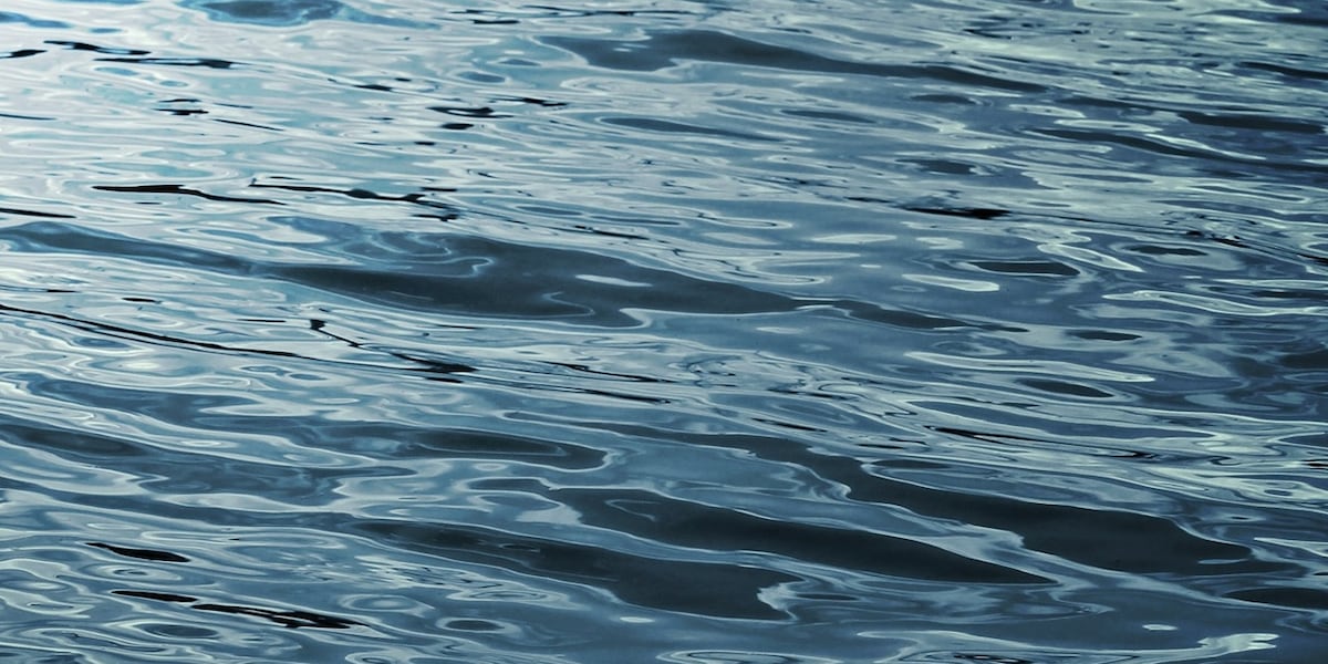 Family of Florida man who died after being rescued from North Strand ocean files lawsuit