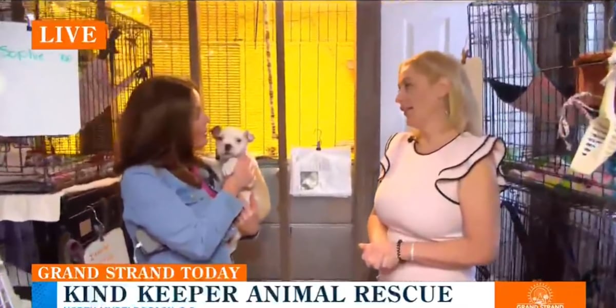 Keeper Rescuer Inside Kind Keeper Animal Rescue