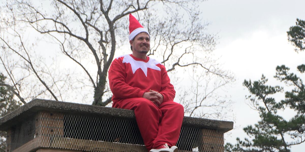 Real life Elf On The Shelf Spotted Around Town real-life-elf-on-the-shelf-spotted-around-town