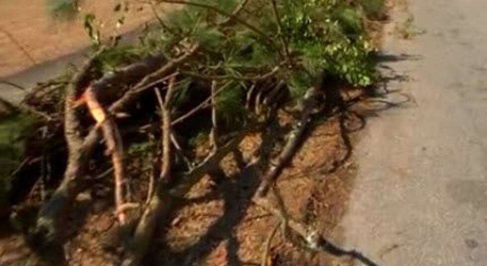 Horry Co Recycling Centers Extend Weekend Hours For Debris Cleanup horry-co-recycling-centers-extend-weekend-hours-for-debris-cleanup