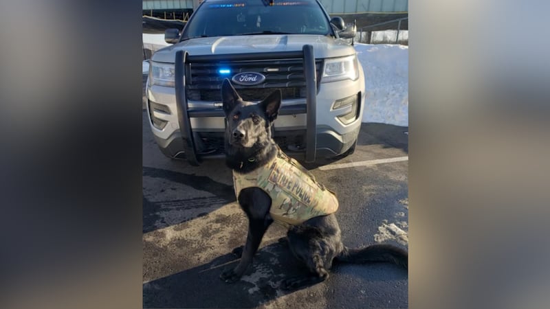 A Connecticut State Police K-9 was killed in the line of duty during a shooting Thursday night.