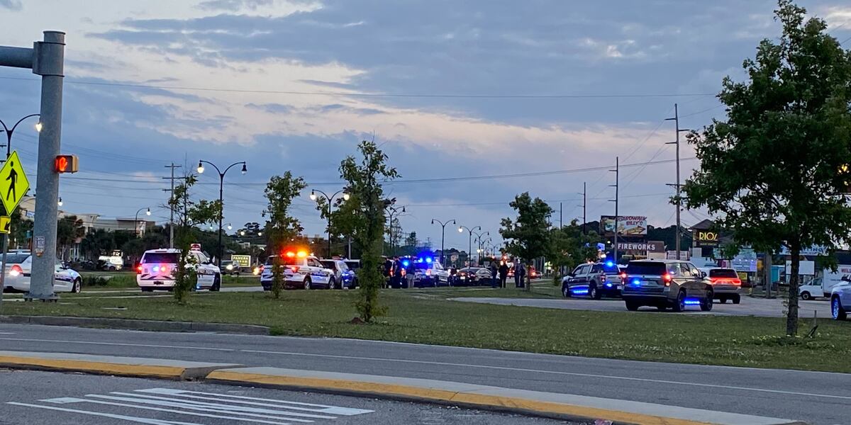 Police: Man shoots himself during ‘high-risk’ traffic stop in North ...