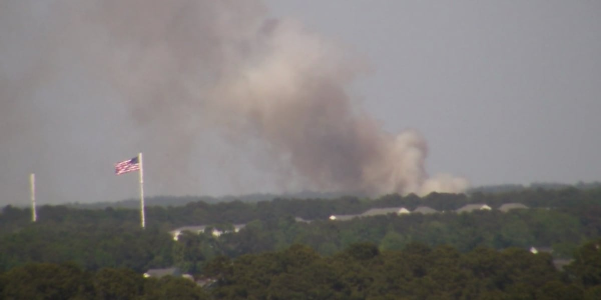 LIVE: Evakuasi sedang berlangsung di tengah kebakaran hutan di Carolina Forest