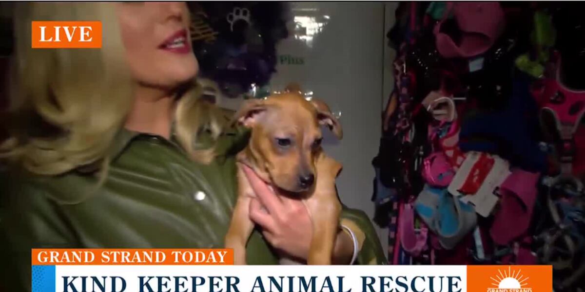 Keeper Rescuer Find your next furry family member with Kind Keeper Animal Rescue