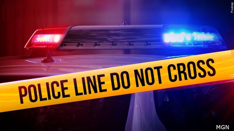Police are investigating after human remains were found inside a vehicle in Florence on...
