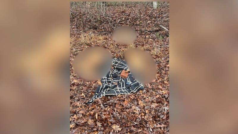 3 dogs shot, left on roadside in Upstate, sheriff’s office says