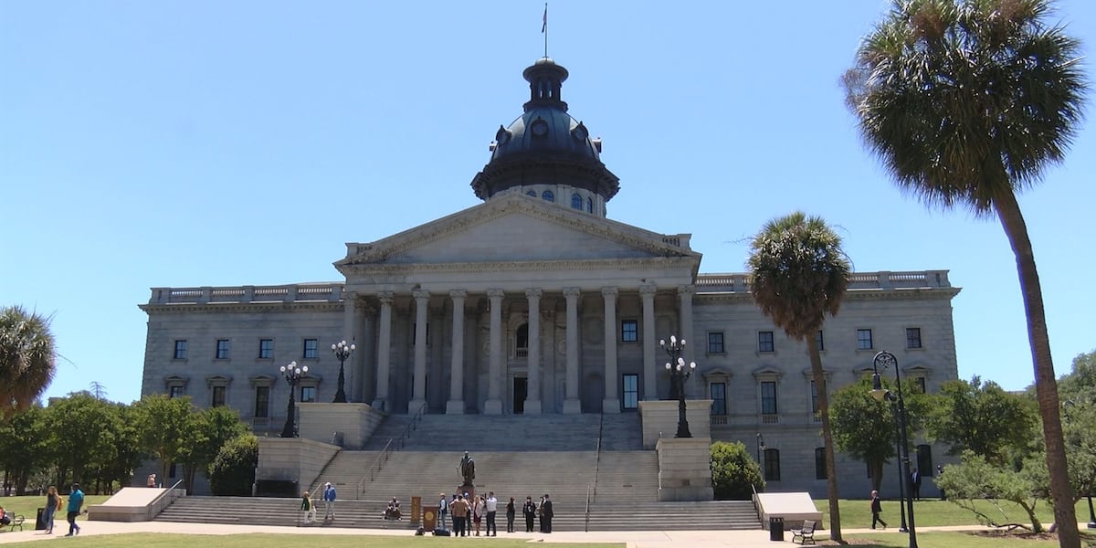 SC Legislature feels and looks different with same issues