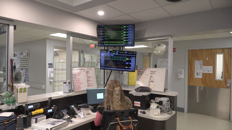 South Carolina sits in the middle of what health professionals call the “Stroke Belt,” a term...