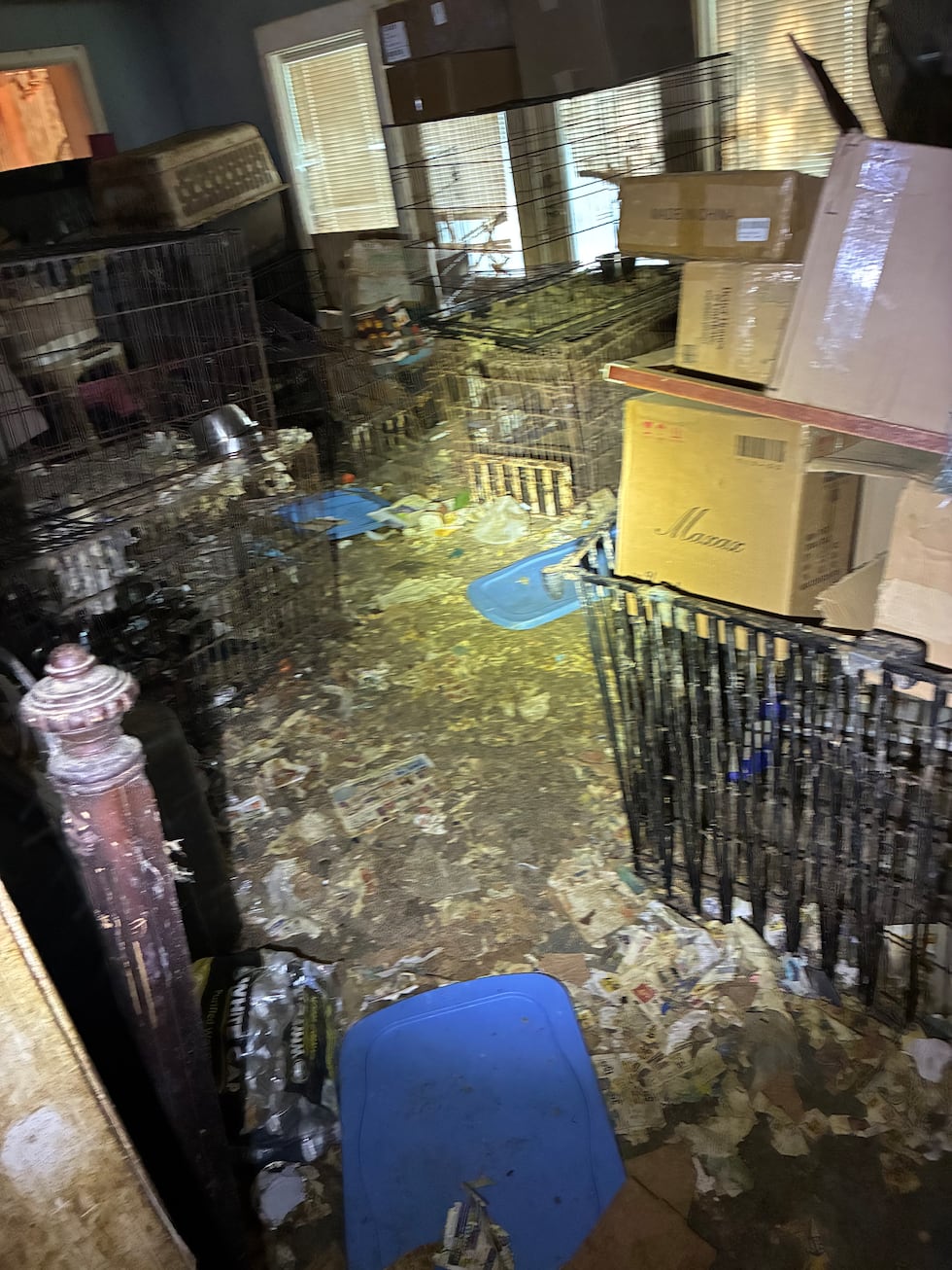 Georgetown County Sheriff shares details on recent animal cruelty case