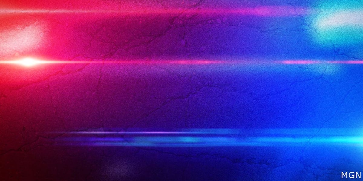 S.C. town’s police chief alleges ‘toxic work environment’ as he, all other officers resign S.C. town’s police chief alleges ‘toxic work environment’ as he, all other officers resign