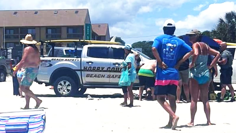 is myrtle beach safari ethical A Horry County police beach truck ran over a woman in June 2023 near Nash Street which led to...