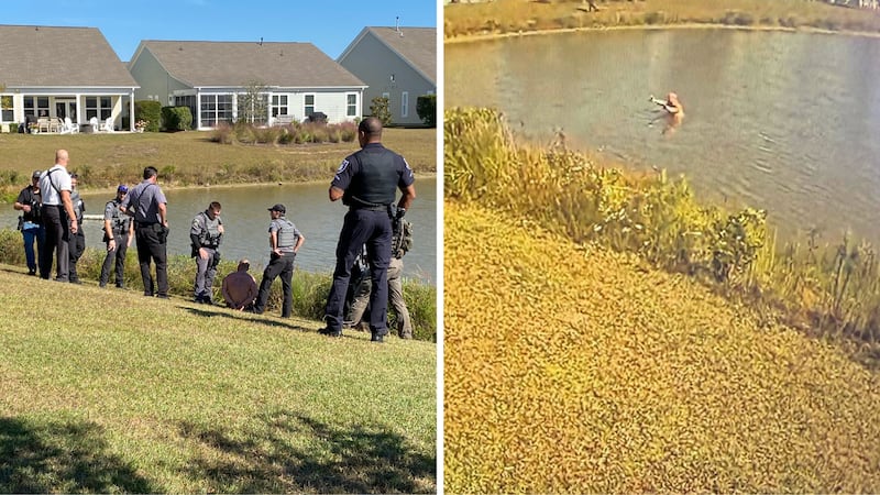 Man jumped into pond after traffic stop in Myrtle Beach, witness says