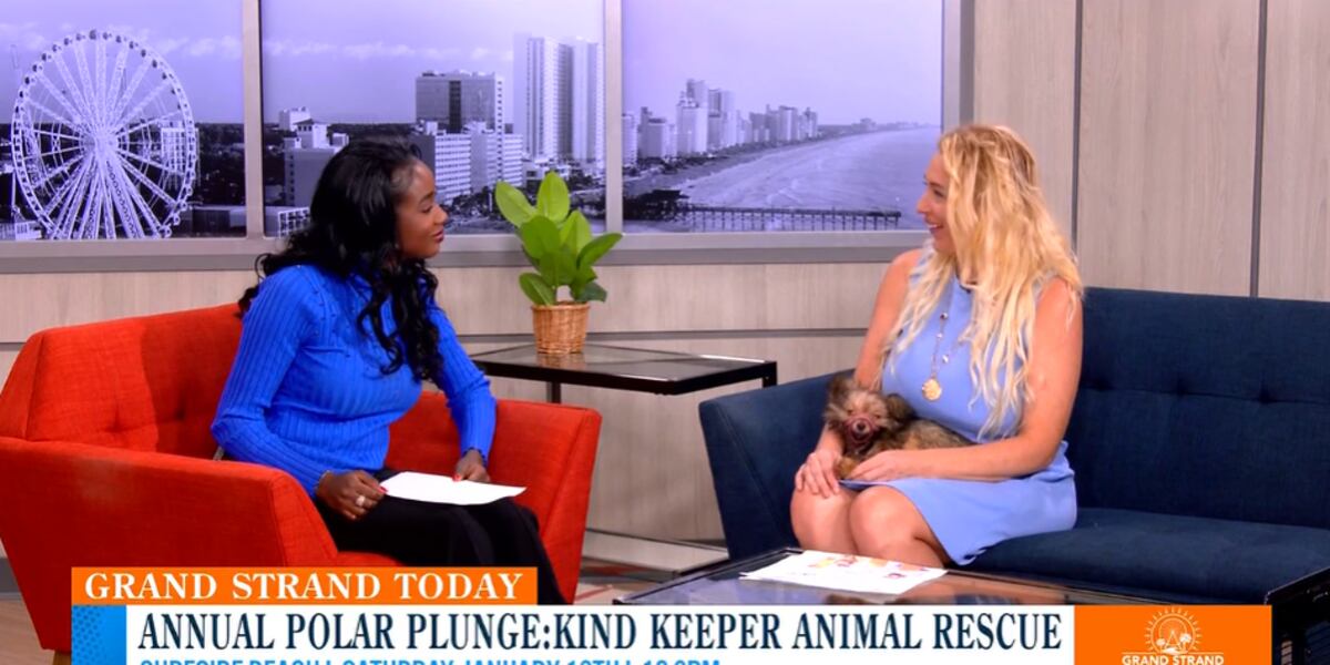 Keeper Rescuer Get ready for the Annual Polar Plunge in benefitting Kind Keeper Animal ...