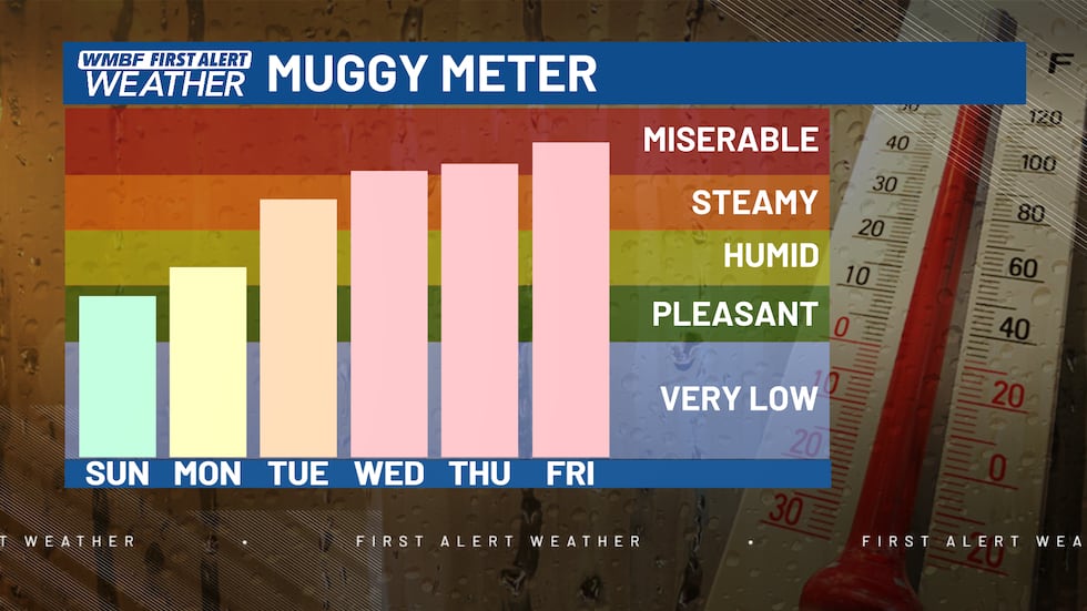 Humidity Levels This Week FIRST ALERT: Building heat and humidity this week