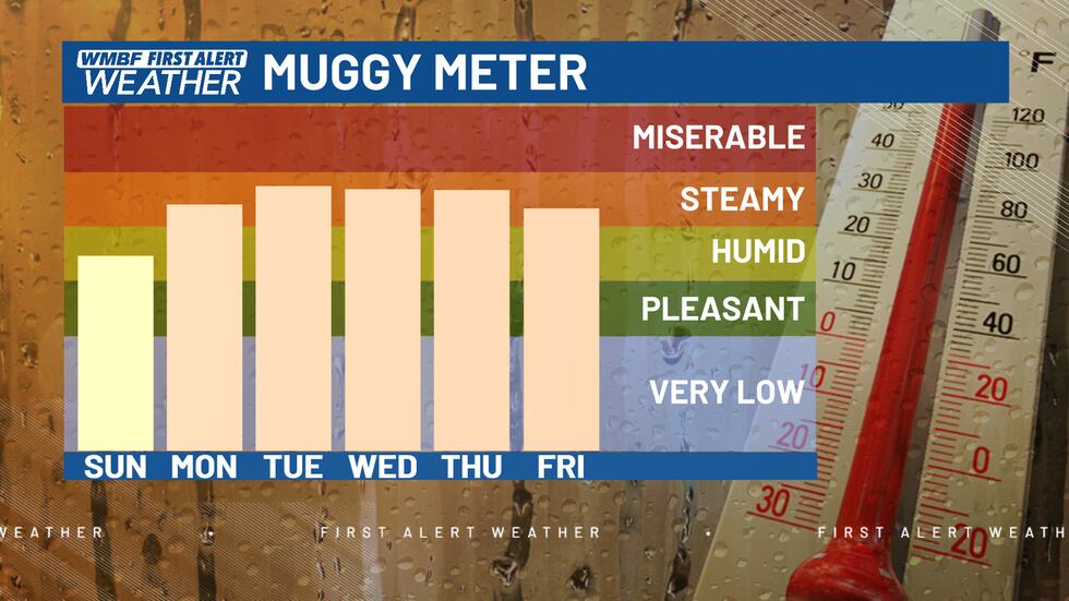 FIRST ALERT: Humidity on the rise, rain chances increase later this week