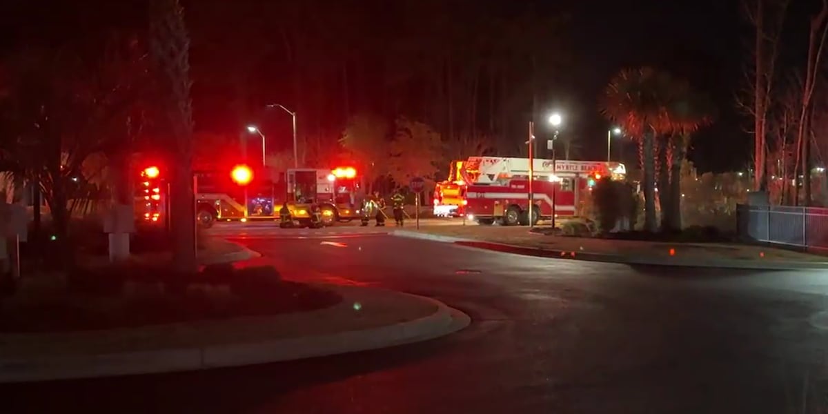 Farrow Fire 1 in custody after car crashes, catches fire off Farrow Parkway