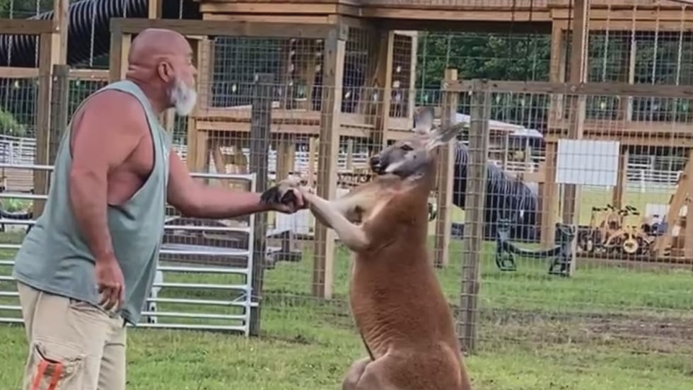 Coroner’s office rules death of man found in Horry County kangaroo ...