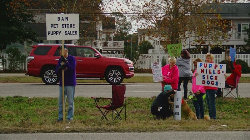 Dozens showed up Wednesday to protest the opening of a new puppy store. (Source: Patrick Lloyd...