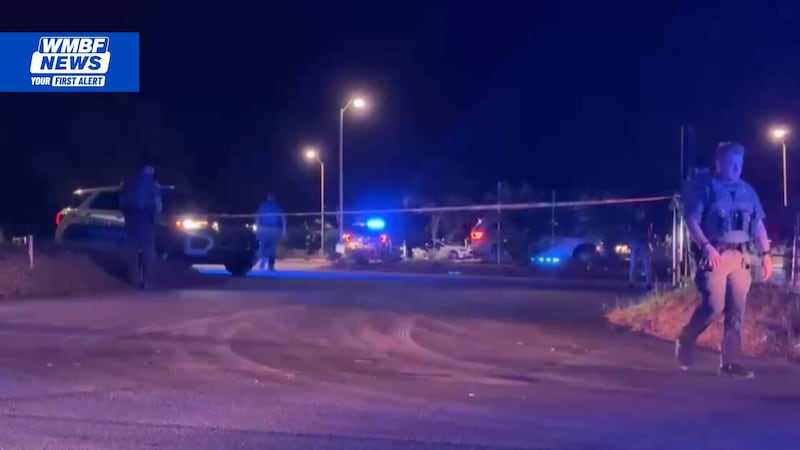 New Horry County police tool halts highspeed suspects in their tracks