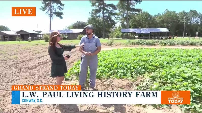 Grand Strand Today - L.W. Paul Living History Farm PT. 5