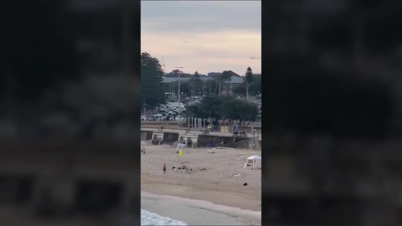 The suspects were a father and son. (Social media, Facebook/Chris Minns, Obtained by CNN,...